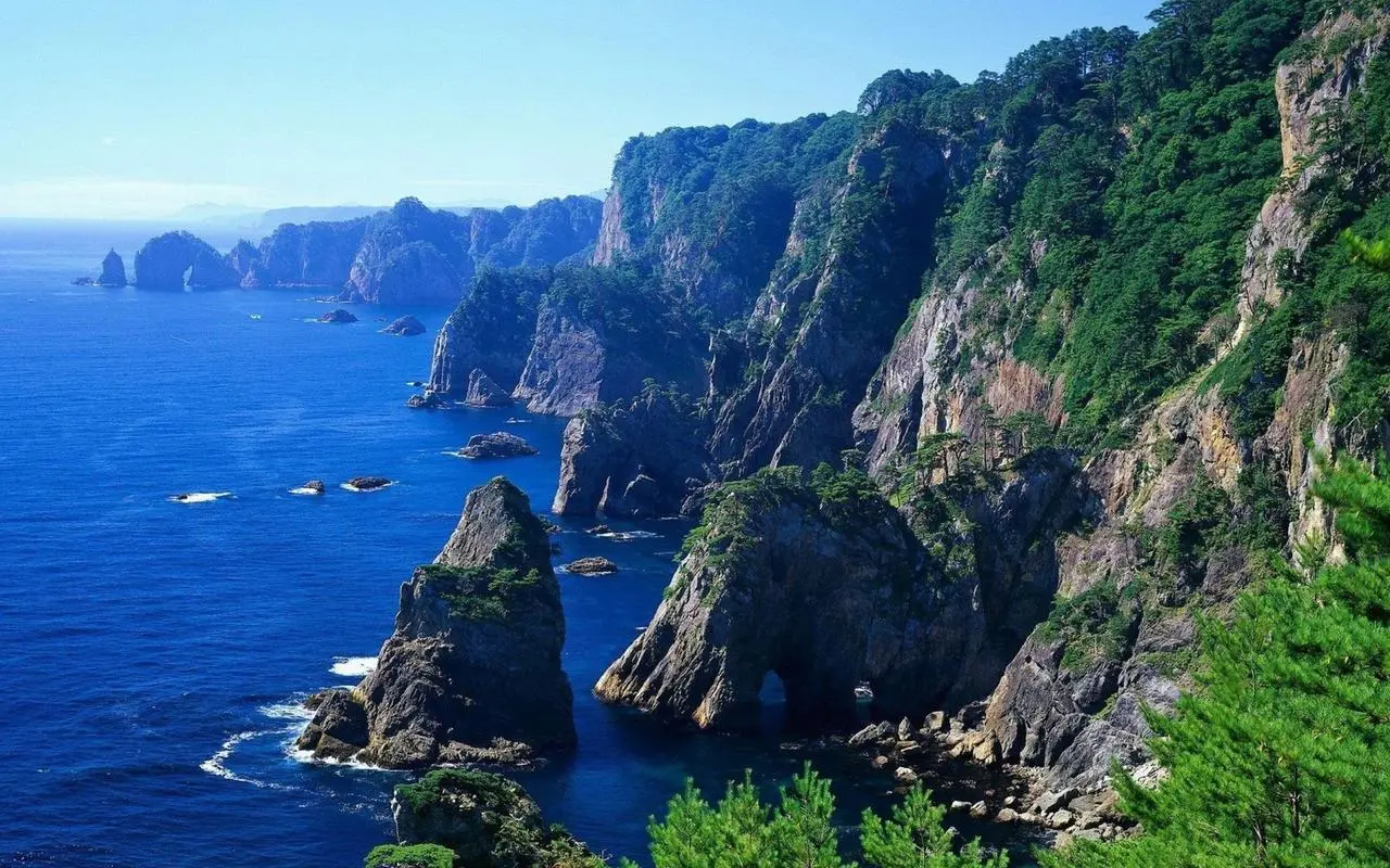 高标准全自动高效